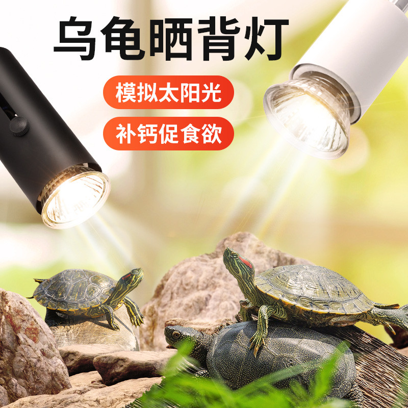Turtle Back Light uvb Daylight uva Pet Warm Light Quilt Bulb Fluorescent Sun Turtle Light for Turtle