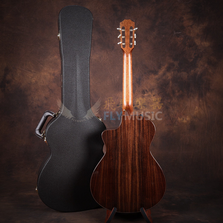 Taylor Taylor JMSM Jason Mraz Signature Nylon String Electric Case Guitar