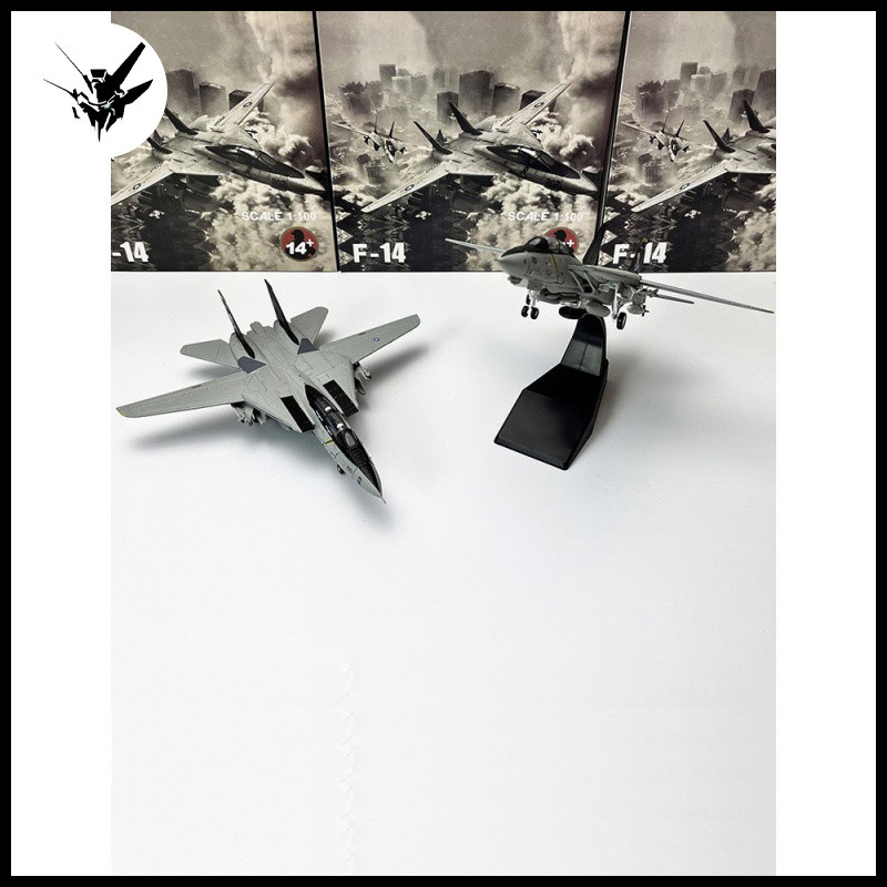 Amer 1/100 F14 Tomcat Fighter ธงโจรสลัด Squadron จําลองเครื่องบินเครื่องประดับสําเร็จรูป