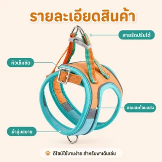 สายจูงแมว รัดอกแมว เสื้อจูงสุนัข ผ้าตาข่าย ระบายอากาศ สะท้อนแสง ปรับได้ กันหลุด สัตว์เลี้ยงเล็ก