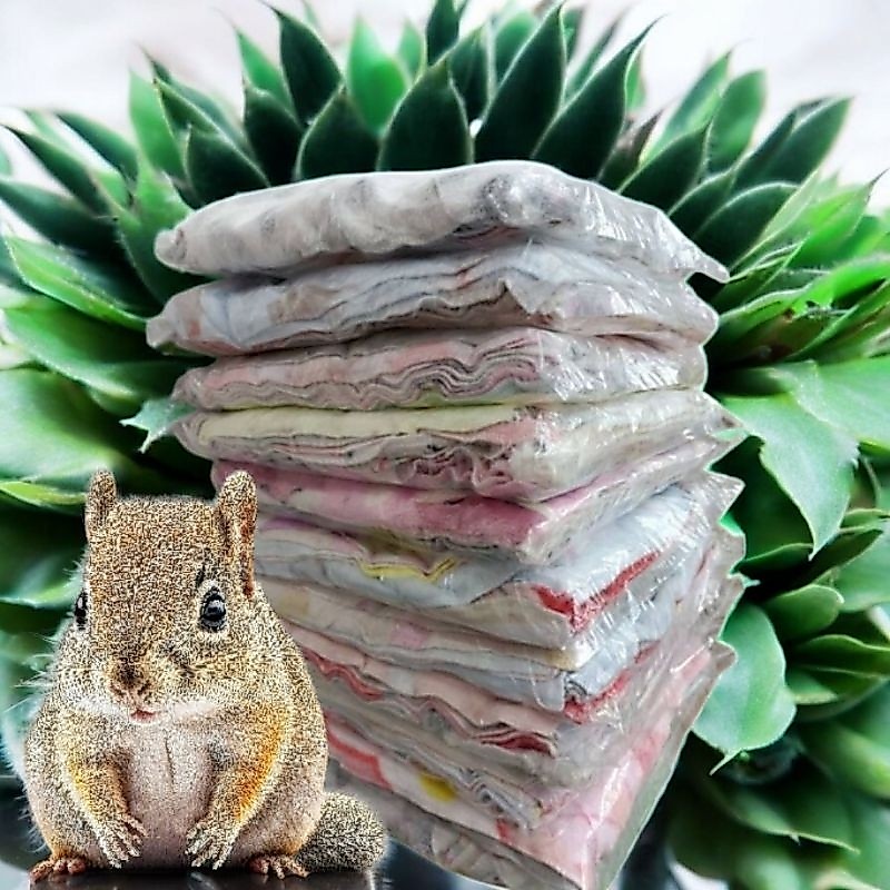 ผ้านุ่ม​นาโน​ยกเเพ็ค​12 ผืน​สำหรับสัตว์เลี้ยง​30*30 cm​ ใช้ได้เอนกประสงค์​ นุ่มมากๆๆส่งด่วนทุกวันค่ะ