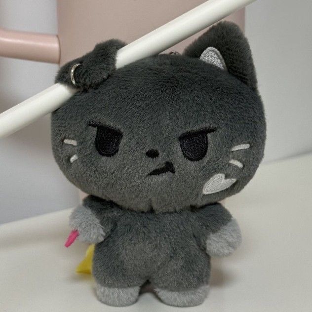 ใหม่ Enhypen ตุ๊กตาตุ๊กตาจี้ตุ๊กตาขนาดเล็ก JAKE NIKI