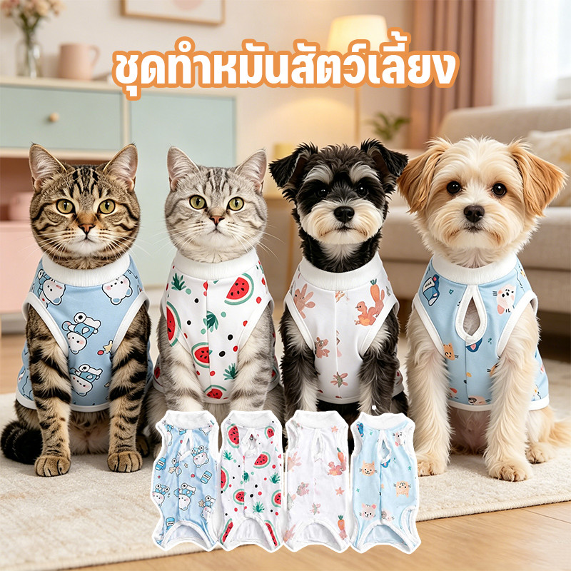COD ชุดทำหมันแมว ชุดผ่าตัด หลังผ่าตัดป้องกันเลีย น่ารักการ์ตูน ระบายอากาศ ปรับขนาดได้ ใช้ได้ตลอดทั้งปี