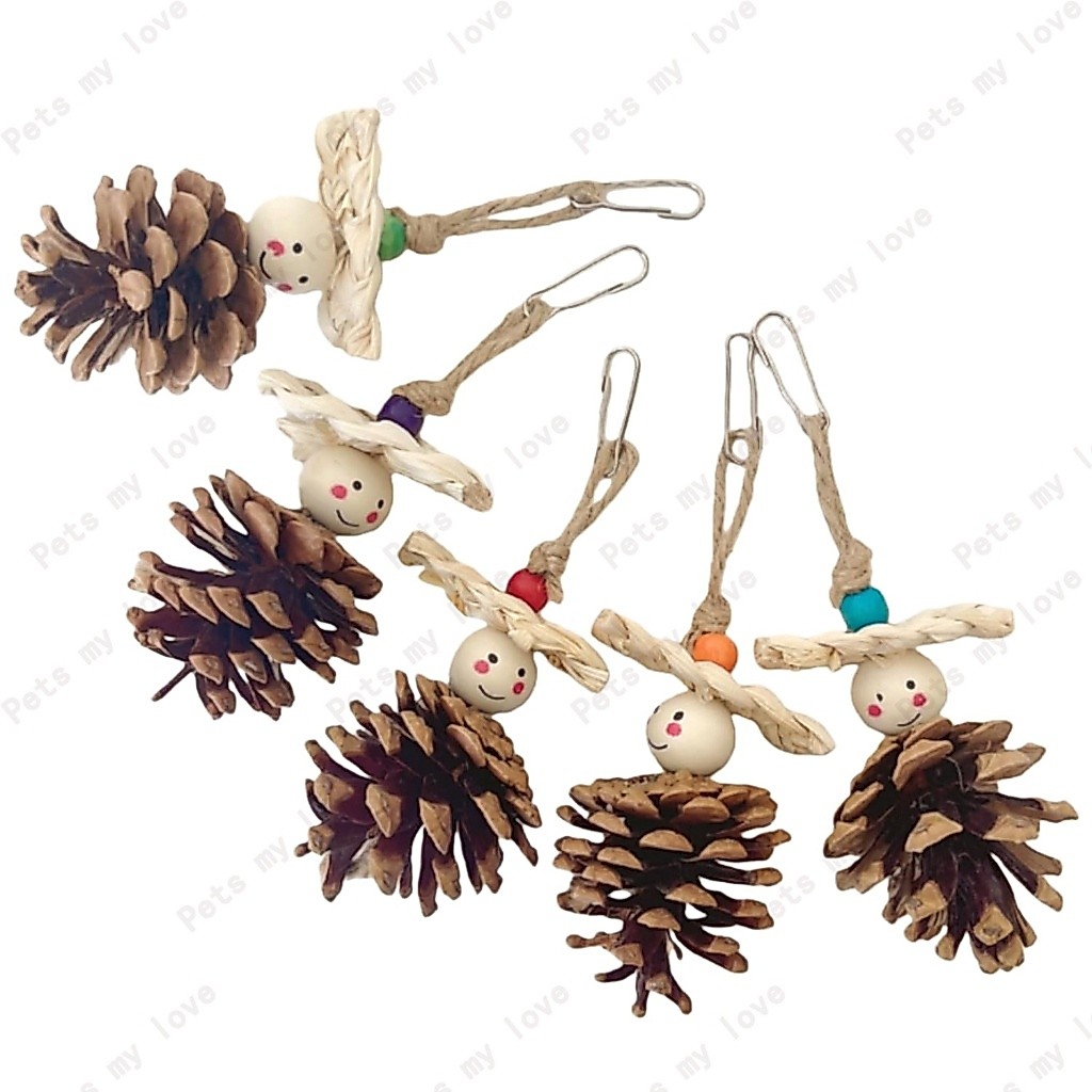 ของเล่นแขวนนกแก้ว ของเล่นหัดกัดแทะสำหรับนกแก้ว วัสดุทำจากไม้และถั่วธรรมชาติ ลูกสน