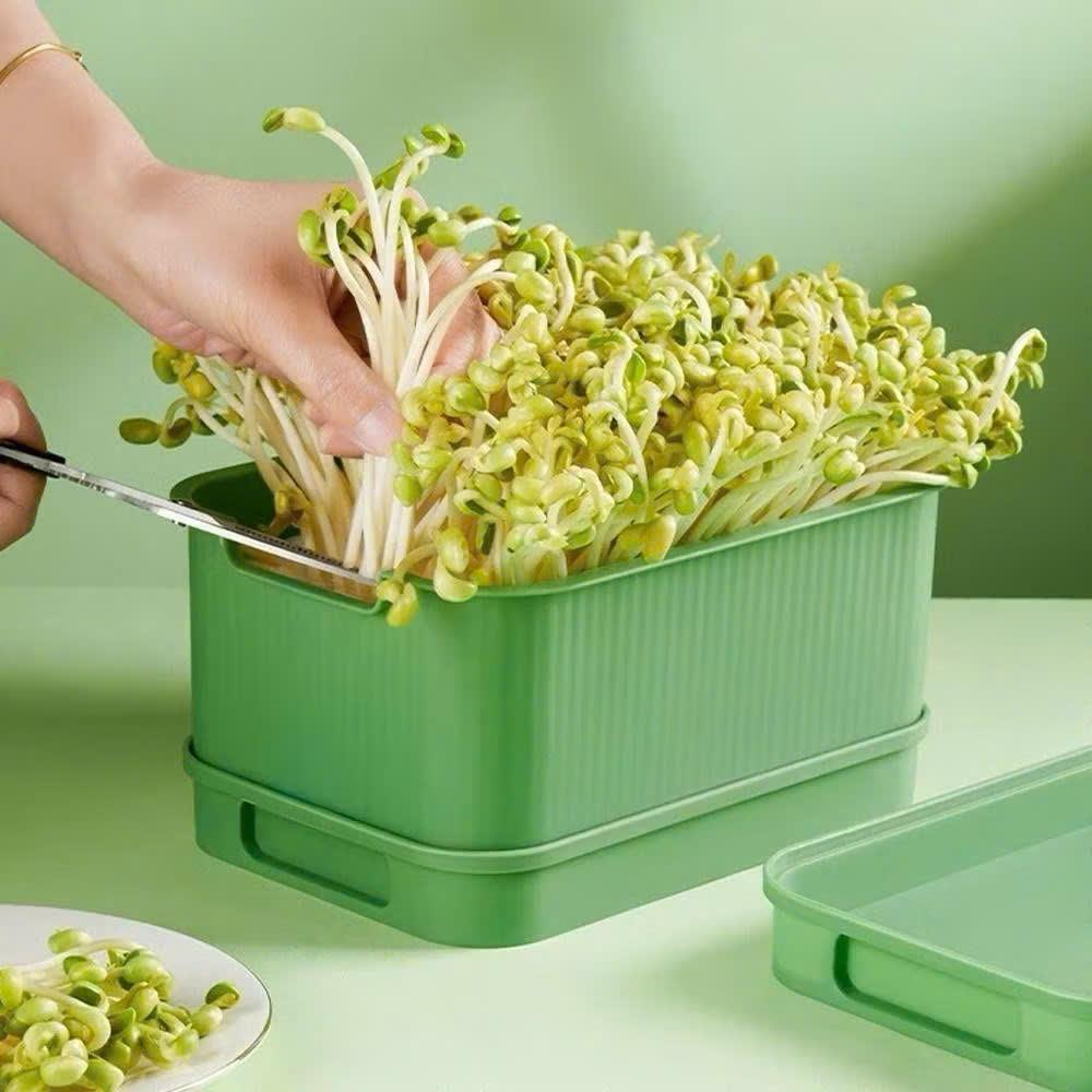 [คอมโบ ของ2] ถาดถั่วงอกพร้อมฝาปิดสะดวกชุดเพาะชําปลอดภัยและสะอาดสําหรับปลูกถั่วงอกที่บ้าน