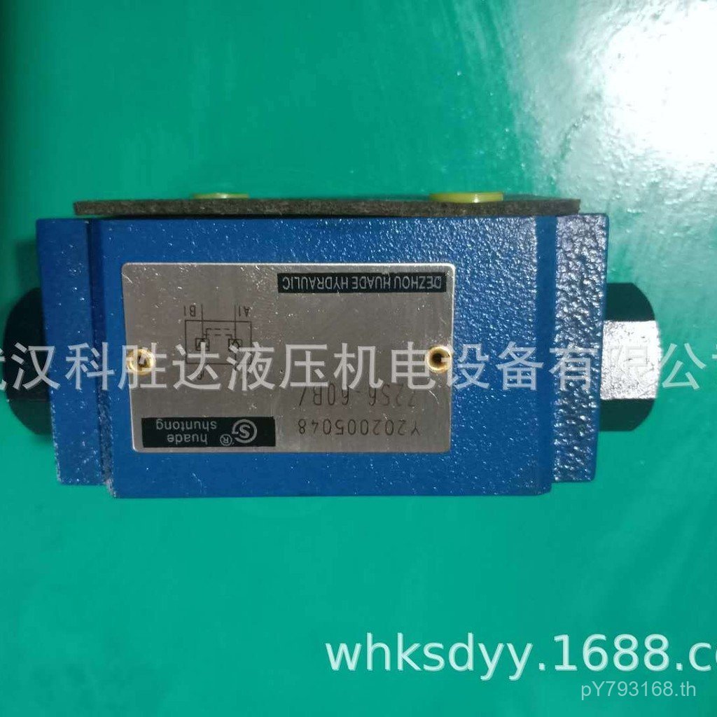 S6 วาล์วรักษาความดัน Z2S6-1-40B เช็ควาล์วซ้อน Z2S10-20BZ2 Liquid Control ล็อคไฮดรอลิก A NP0N