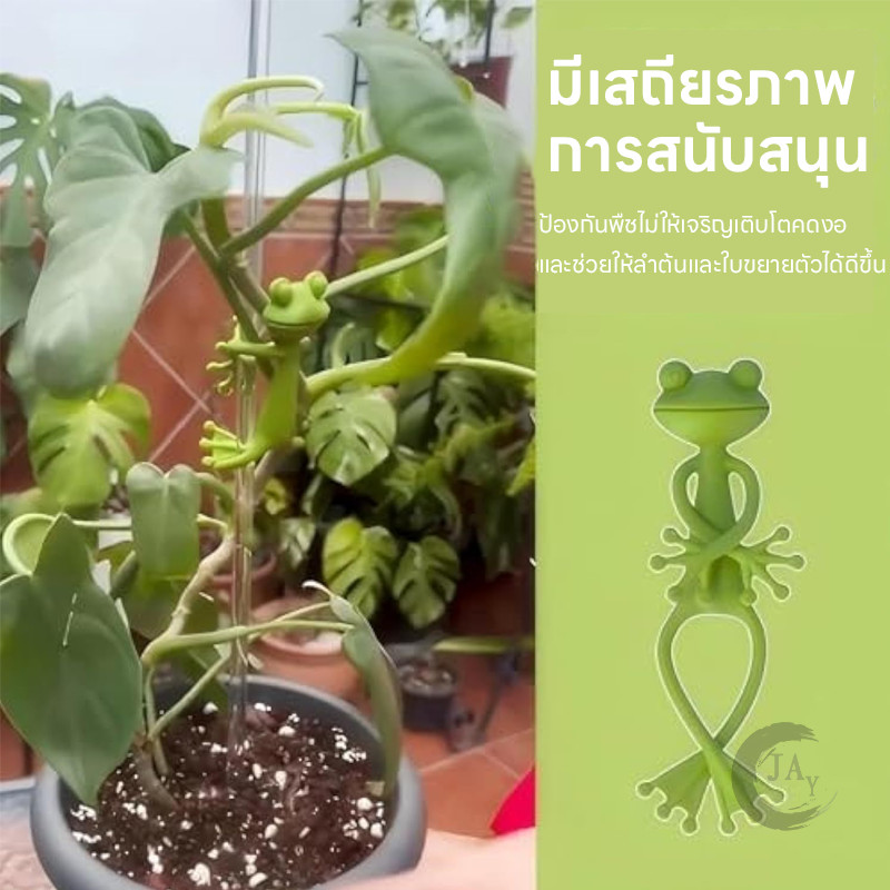 ตกแต่งกระถาง อุปกรณ์พยุงพืช รูปร่างกบน่ารัก น่ารักขอบถ้วยพืชคงพันธมิตรการขยายพันธุ์พืช แก้ไขกิ่งไม้ - รูปที่ 6