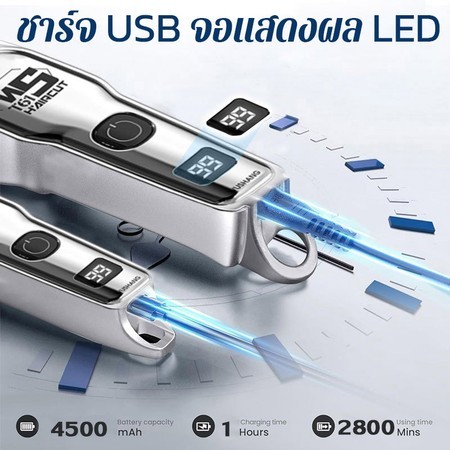 รูปภาพ 2