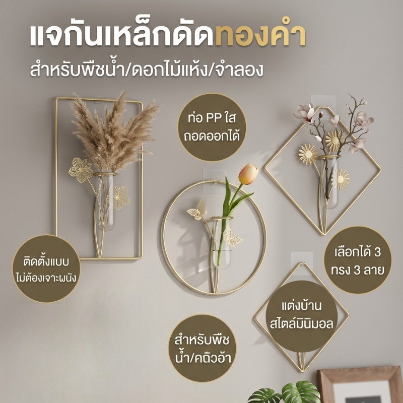 COD ติดผนังไฮโดรโปนิกส์แจกัน วัสดุเหล็ก นอร์ดิก INS เหมาะสำหรับปลูกพืชน้ำ แจกันติดผนัง แฟชั่นและเรียบง่าย ตกแต่งบ้าน