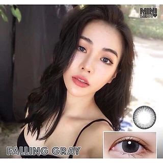 🌸Falling Gray / Brown : Kitty Kawaii สายตาปกติ ถึง -10.00 Size M