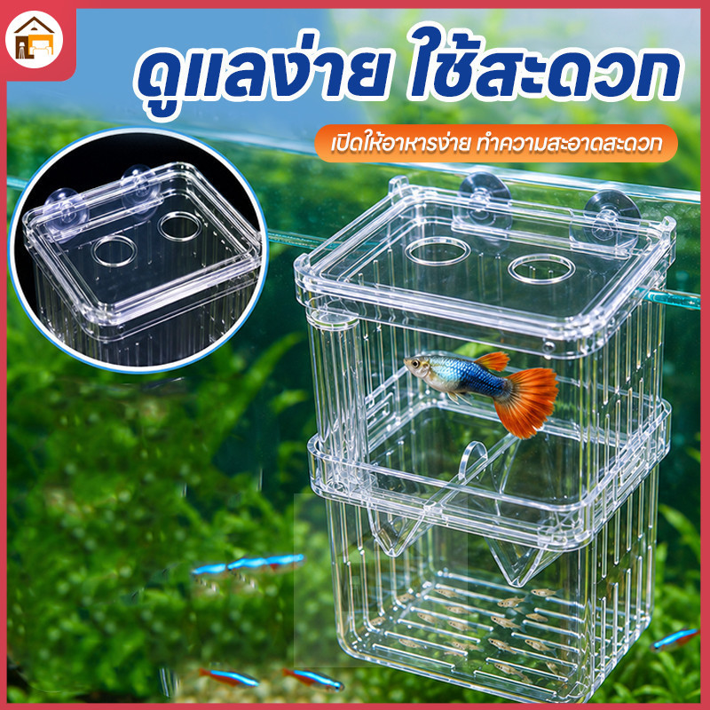 อุปกรณ์ปกป้องลูกปลา กล่องแยกปลาแขวนด้วยซักเกอร์ มี2ขนาด ป้องกันปลาใหญ่กินลูกปลา ใช้ได้กับปลาหางนกยูงปลากัด