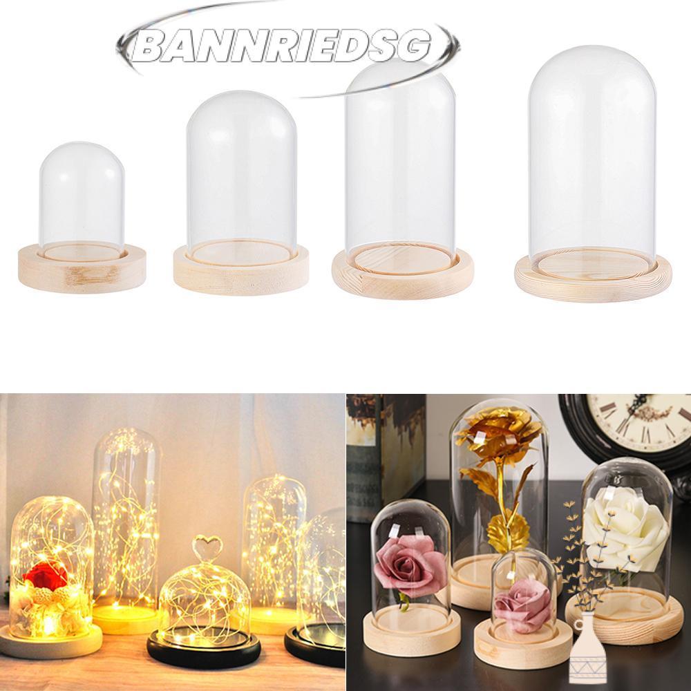 BANNRIEDSG989YR แก้ว Clocie Fairy ไฟ Terrarium โต๊ะ Jar Terrarium ขวดโปร่งใสดอกไม้กล่องเก็บ