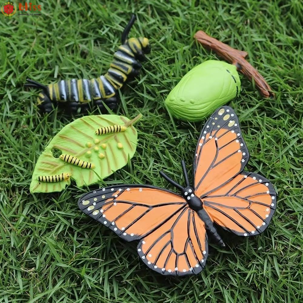 BLLISS 4 ชิ้น/เซ็ต Life CYCLE ตุ๊กตา,การศึกษา Miniature Montessori ช่วยสอนสัตว์ Growth CYCLE,จําลองอ
