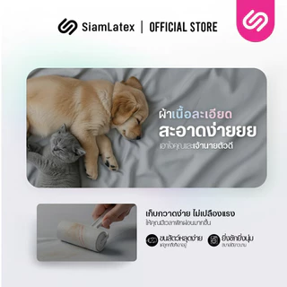 SiamLatex ชุดเครื่องนอน Glada Dark ผ้าปูที่นอน เทาเข้ม นุ่มเย็น กันไรฝุ่น ไม่ติดขนสัตว์ 3.5/5/6 ฟุต