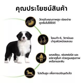 [เลือกรสชาติได้] Purina PRO PLAN Dog อาหารสุนัข 3 kg