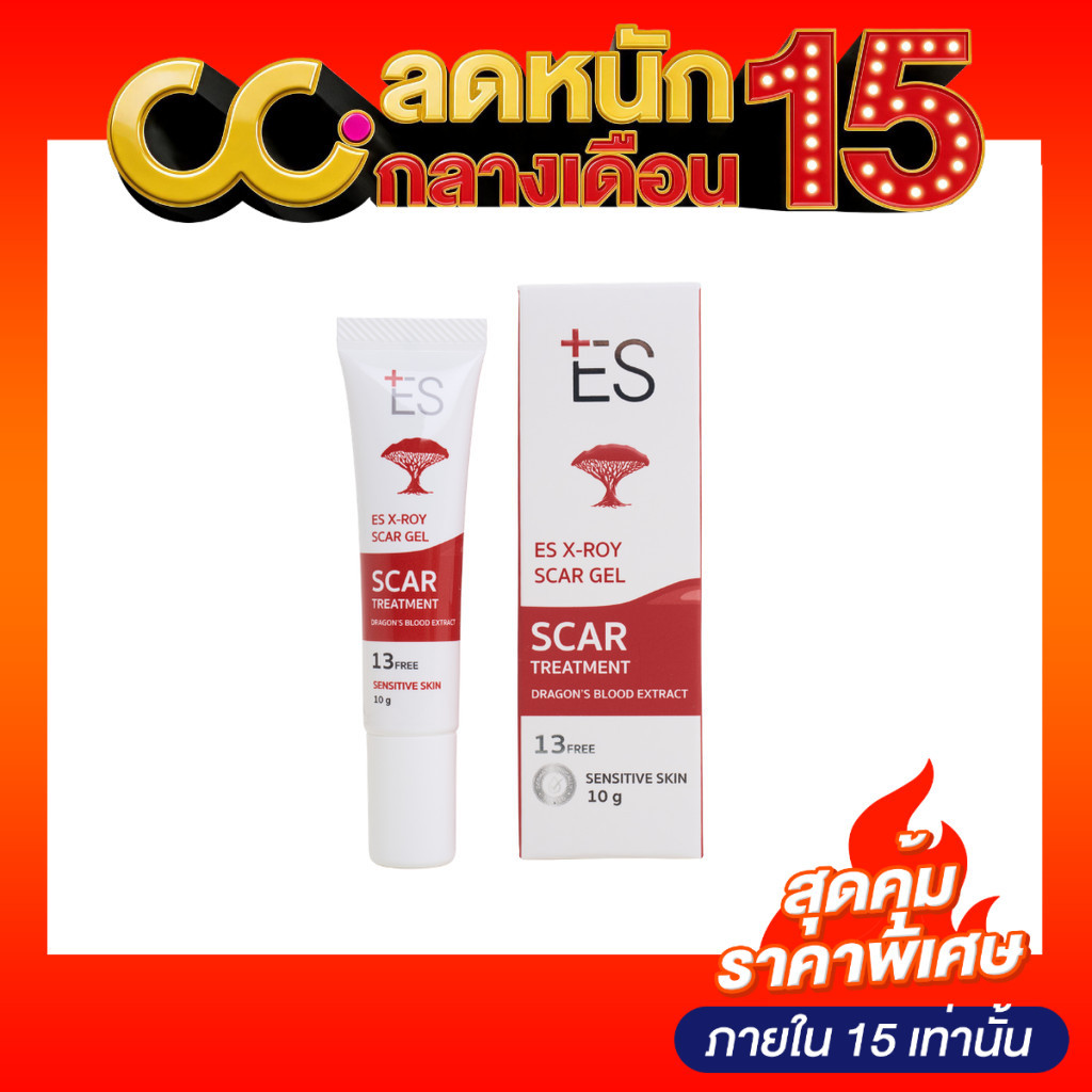 ES X-roy Scar Gel (10g) เอส เอ็กซ์รอย สการ์เจล