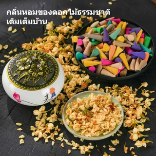 🌸กำยาน 300/600 เม็ด 🌟กำยานหอม กํายานพระพิฆเนศ กลิ่นใหม่ ถ้วยวางกำยาน กำยานอโรม่า กำยานโคนใหญ่คละกลิ่น แพ็คใหญ่