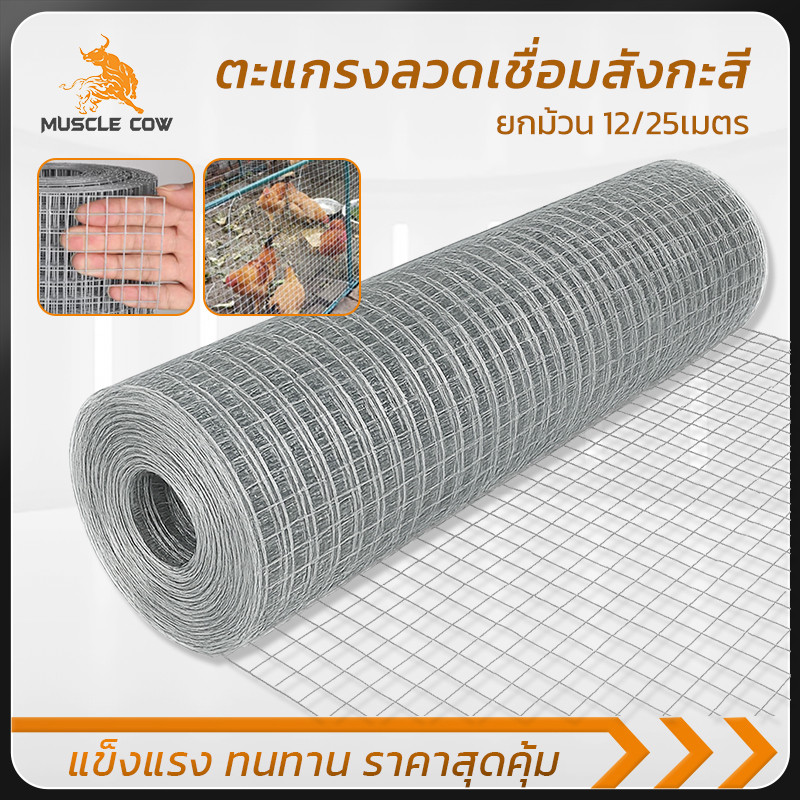 MUSCLE COW ตะแกรงลวดเชื่อมสังกะสี ขนาด 12/25 เมตร ทนทาน ไม่เป็นสนิม เหมาะสำหรับทำกรงไก่ ล้อมสวน กันสัตว์รบกวน