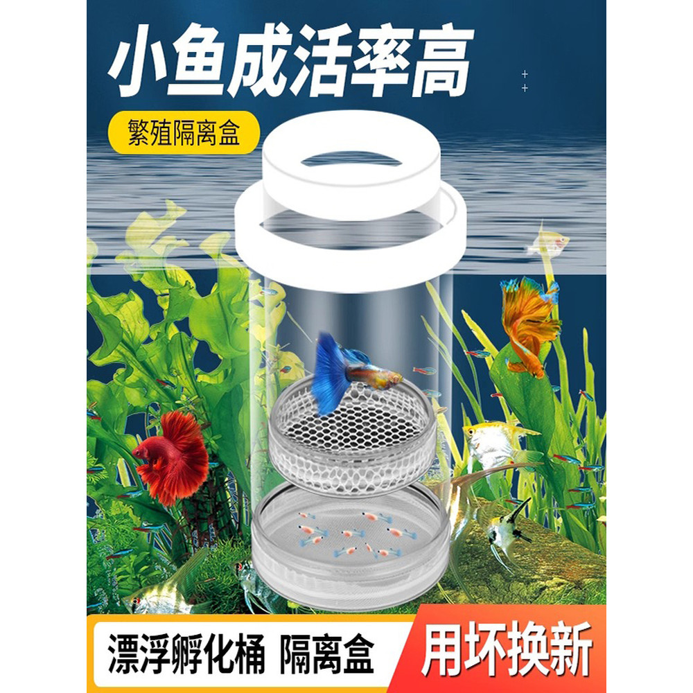 Hatch Box Guppy Fry Zebra Fish Betta Fish Tank Breeding Isolation Box Small Fish Roe Fish Tank Aquar