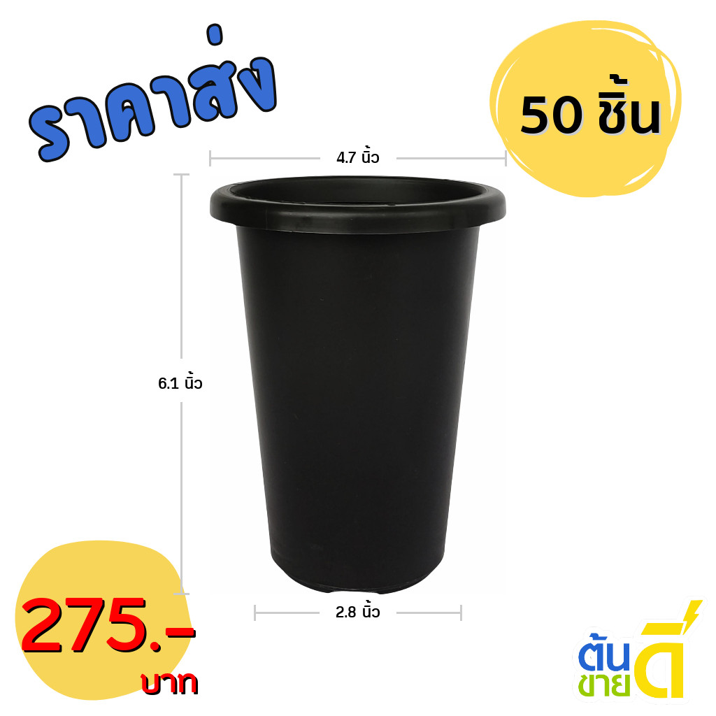 กระถาง แคคตัส ไม้กราฟ ทรงสูง 4 4.7 นิ้ว สีดำ สีขาว สีอิฐ