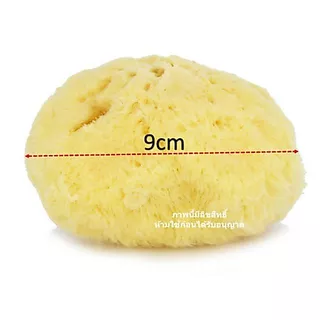 โฉมใหม่Pureenเพียวรีนฟองน้ำธรรมชาติ 100% Natural Sea Sponge Fine Silk