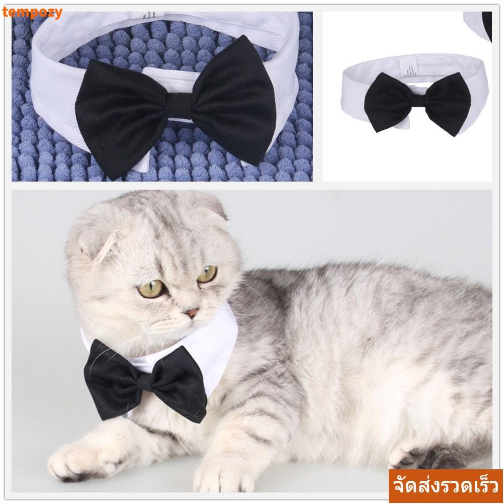 CODSEMPOZY Cat Tuxedo Collar ปรับชุด Puppy Cat ลูกแมวสัตว์เลี้ยงอย่างเป็นทางการ Tuxedo