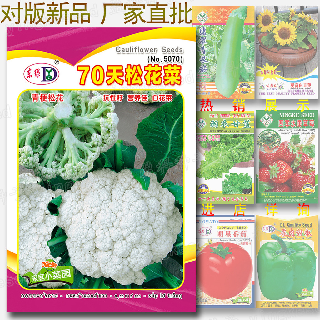 //70天松花菜种子 约350粒雪白花菜籽青花菜散花菜蔬菜种子批发70วันสนเมล็ดกะหล่ําดอกประมาณ350ธัญพืชของหิมะ20260712