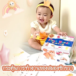 แฟลชการ์ดกล่อง(น้ำเงิน-แดง-ม่วง) - First Words Flashcards แฟลชการ์ดภาพจริงพัฒนาสมอง (1กล่อง มี 5 หมวด 125ใบ)
