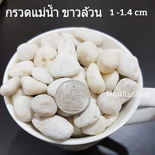 หินกรวด แกลวขาว L หินโรยหน้ากระถาง หินตู้ปลา หินตกแต่งตู้ปลา หินธรรมชาติ