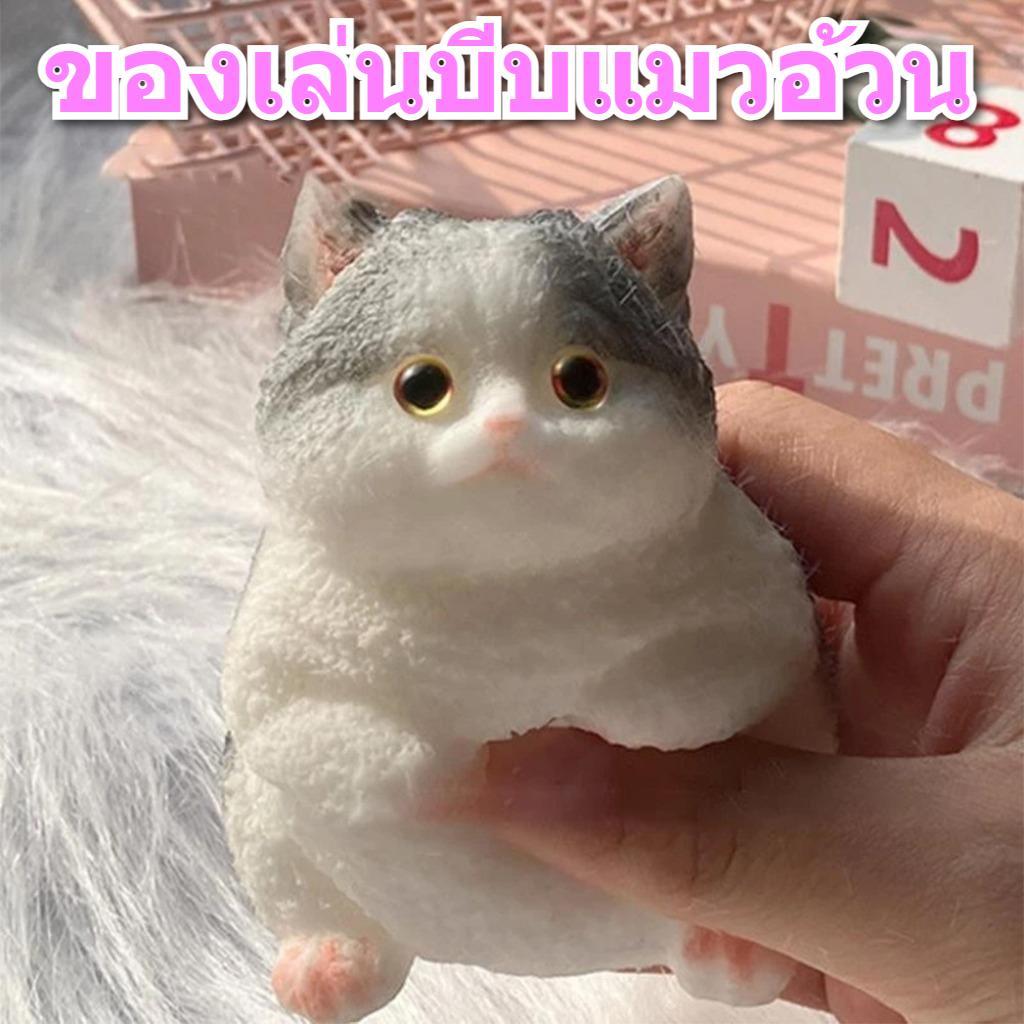 ของเล่นบีบคลายเครียดรูปแมวอ้วน สัมผัสนุ่ม บีบแล้วคืนรูปเร็ว ลดความวิตกกังวล น่ารัก เหมาะเป็นของขวัญให้เพื่อนและคนใกล้ชิด