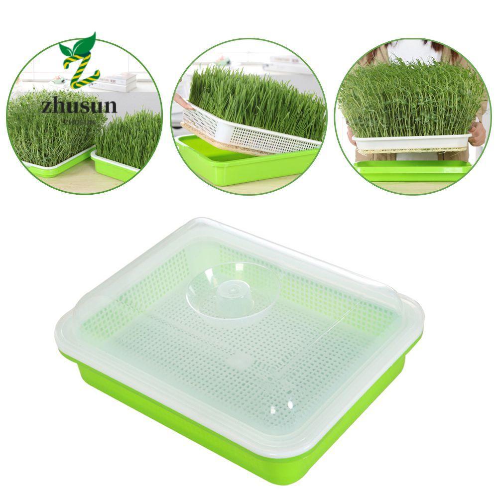 ZHUSUN Grow Nursery Pots อุปกรณ์ทําสวนถาด Hydroponic Soilless Cultivation Sprout Pot