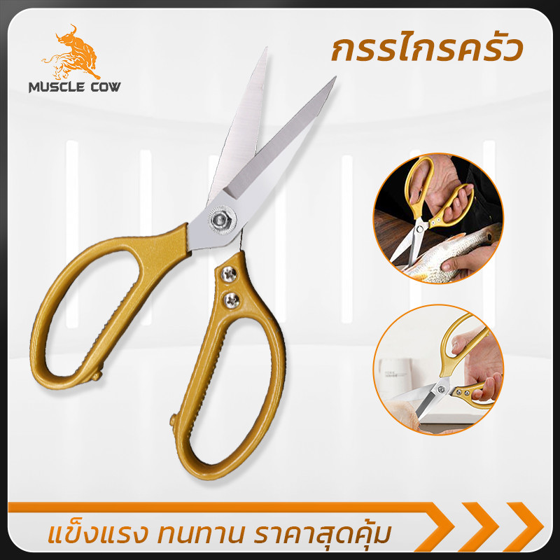 MUSCLE COW กรรไกรครัวอเนกประสงค์ ด้ามสีทอง ใบมีดสแตนเลส ตัดกระดูก ปลา เนื้อสัตว์ แข็งแรง คุ้มค่า