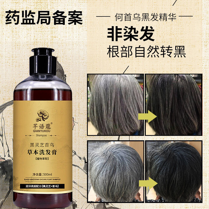 Qianyu Black Ganoderma Lucidum Polygonum Multiflorum แชมพูแชมพูผมขาวถึงดําสารสกัดจากพืชสมุนไพรควบคุม
