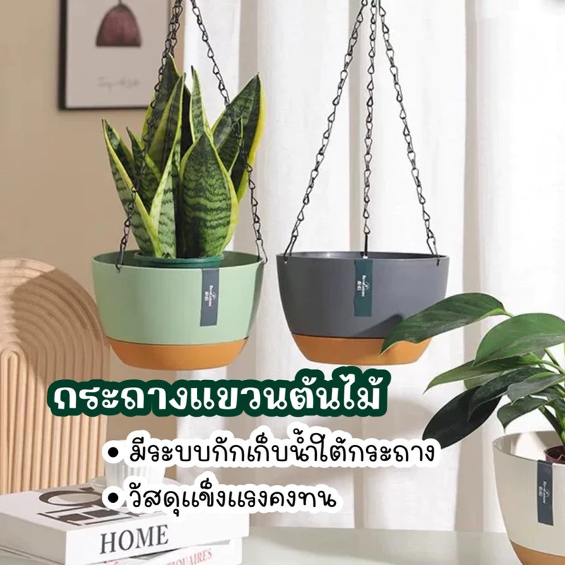 กระถางแขวนไฮโดรโพนิก PP | ตะกร้าเพาะกล้าในร่ม รูระบายน้ำดี เหมาะสำหรับสวนแนวตั้งและตกแต่งระเบียง