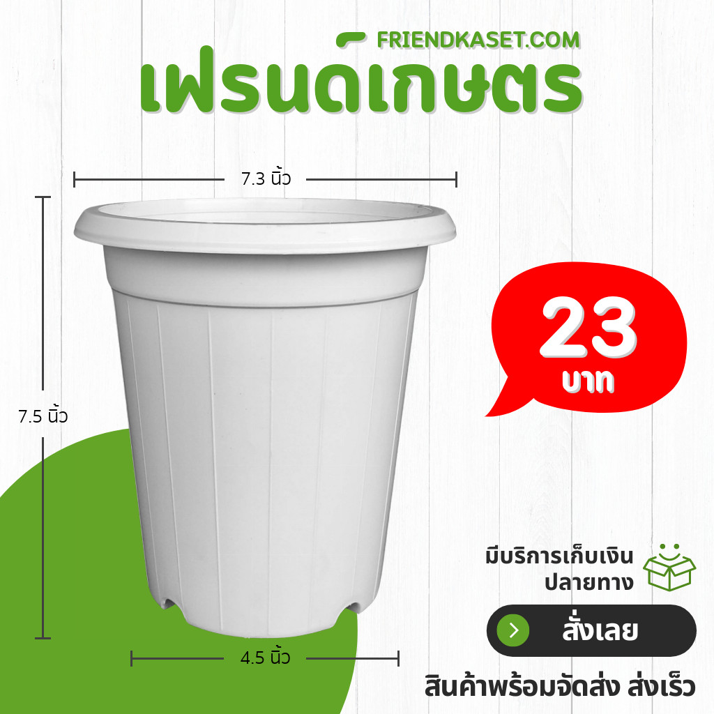 กระถาง แคคตัส ไม้กราฟ ทรงสูง 7 7.3 8 นิ้ว สีขาว ขั้นต่ำ 10 ใบ ชิ้น อัน