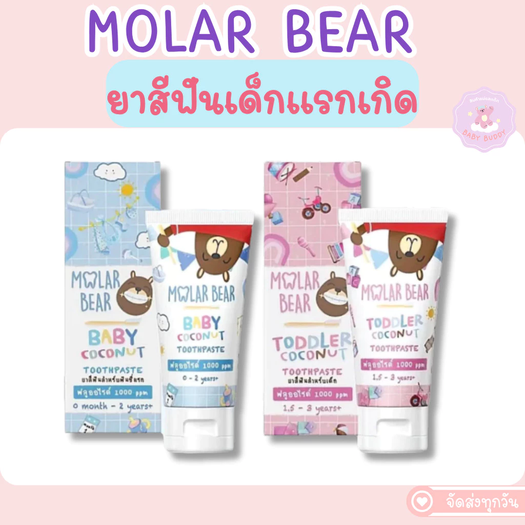 ส่งด่วน/ทันที Molar Bear ยาสีฟันเด็ก กลืนได้ ฟลูออไรด์ 1000-1500 PPM ใช้ได้ตั้งแต่ฟันซี่แรก