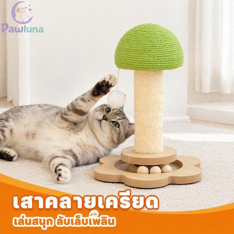 Cat Scratching Board รูปเห็ดของเล่นแมวทนทานประหยัดพื้นที่ Low Mess Scratch Pad สัตว์เลี้ยง