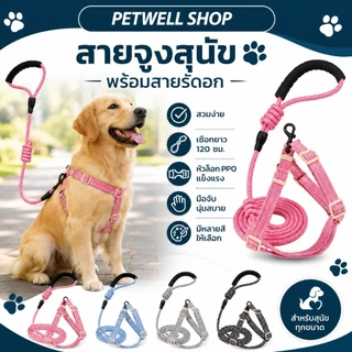 สายจูงสุนัข พร้อมสายรัดแบบฮาร์เนส PETWELL สำหรับสุนัขขนาดเล็ก/กลาง/ใหญ่