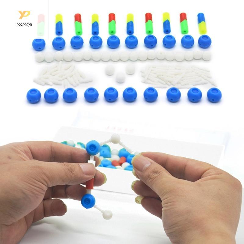 PPY DNA ชุดส่วนประกอบ DNA Double Helix Model ช่วยสอนวิทยาศาสตร์ชีวภาพ