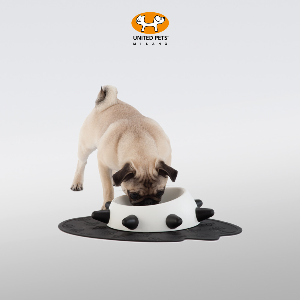 UNITED PETS ชามสัตว์เลี้ยงเม่น BOSS Cat Dog ชามกันลื่น BOSS น่ารัก Rivet Bead Feeder
