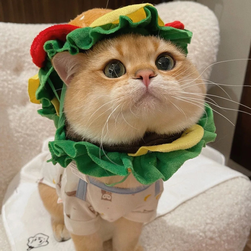 Cat Burger Headgear Collar Hat การ์ตูนสัตว์เลี้ยง French Fries Bib เครื่องแต่งกายตลก Elizabeth Ring