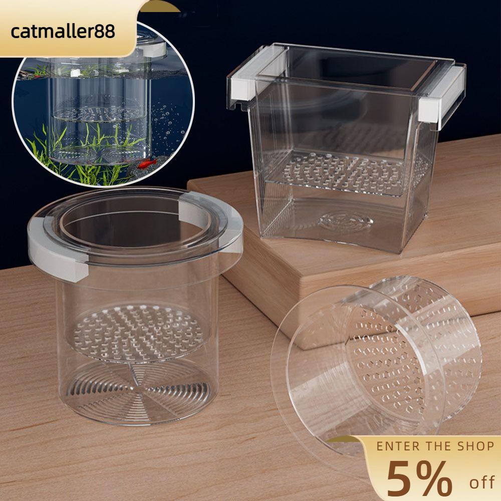 CATMALLER88 กล่องฟักไข่ลอย,อะคริลิคโปร่งใส Aquarium กล่องแยก,กุ้ง Guppy ที่ถอดออกได้ปลา Hatchery Inc