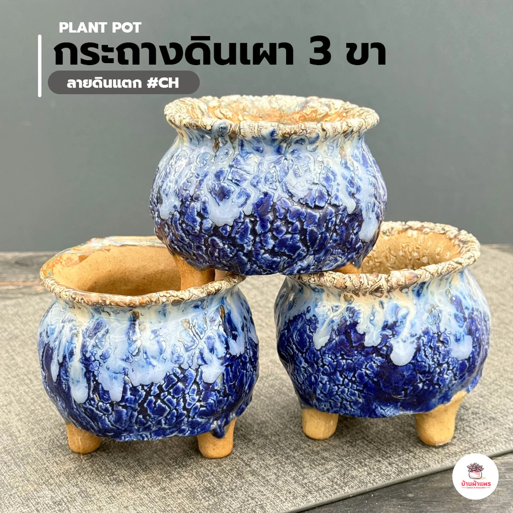 กระถางดินเผา 3 ขา ลายดินแตก #CH กระบองเพชร ไม้อวบน้ำ Cactus&Succulent
