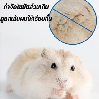 ทรายอาบน้ําหนูแฮมสเตอร์ เม็ดละเอียด ฝุ่นต่ํา น้ํามัน ดูดซับกลิ่น ควบคุม กลิ่นชาไม้ไผ่ สัตว์เลี้ยงขนาดเล็ก
