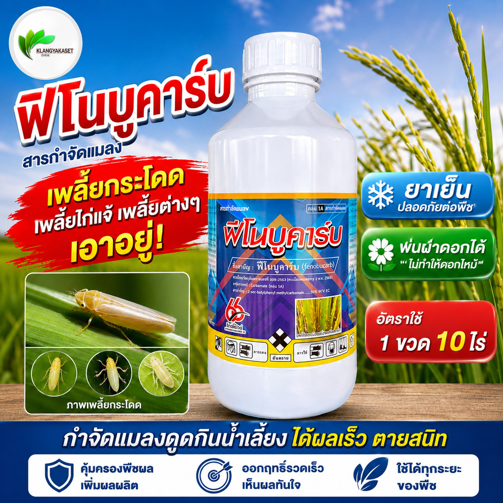 ฟีโนบูคาร์บ 1 ลิตร ‼️ ยากำจัดเพลี้ย เพลี้ยกระโดด เพลี้ยจักจั่น เพลี้ยแป้ง เพลี้ยไฟ เพลี้ยหอย เพลี้ยไก่แจ้