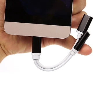 2in1 USB3.1 Type-C to Type-C 3.5mm Earphone Plug Converter Adapter Cable