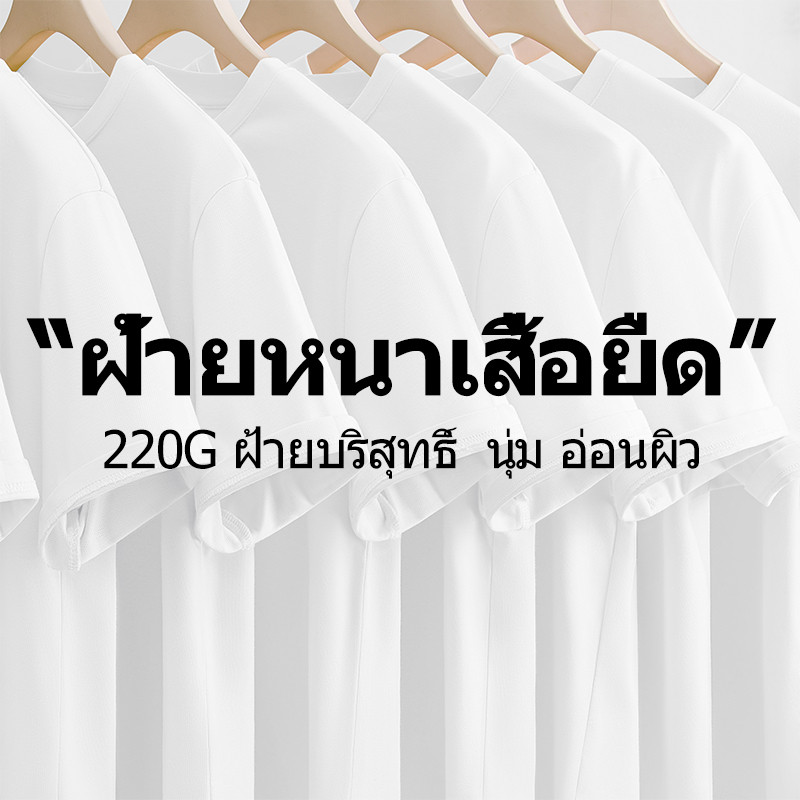 REYE เสื้อยืดคอกลม ผ้าฝ้าย100% 220กรัม นุ่มสบายผิว รูปที่ 6