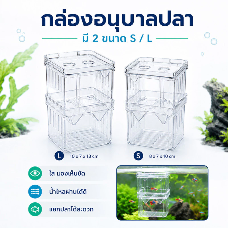กล่องแยกปลา ตู้เพาะพันธุ์ปลา อะคริลิคใส แบบแขวน สำหรับปลากุ๊ปปี้ ขนาด S L thumbnail 10