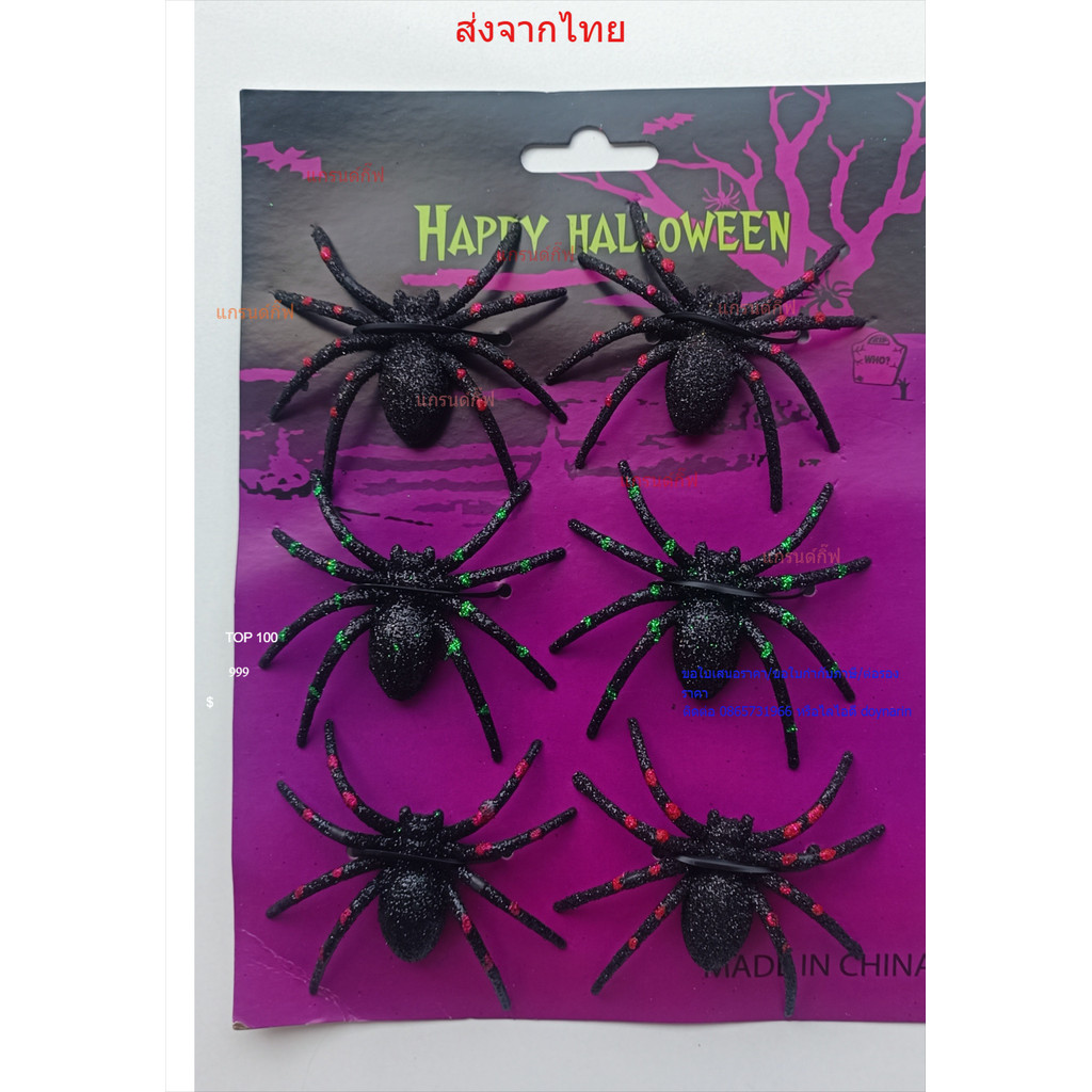 แมงมุม พลาสติก ปลอม แพ็ค 6ตัว ขนาด 6.5x7cm ของตกแต่ง ฮาโลวีน บ้านผีสิง Fake Plastic Spider / Halloween Decorations