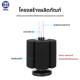 🐠 【ส่งด่วน1วัน】กรองชีวภาพ ฟองน้ำกรองละเอียด น้ำใส ปลาแข็งแรง 💧